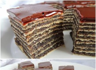 DESERT VRIJEDAN KUŠANJA… NE ZAHTJEVA PEČENJA I DAJE IZNIMAN OKUS.