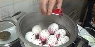 Prirodno bojanje jaja za Uskrs – Vodič za postizanje punog spektra boja za jaja