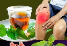 Čaj od koprive: organski lijek za kontrolu razine mokraćne kiseline