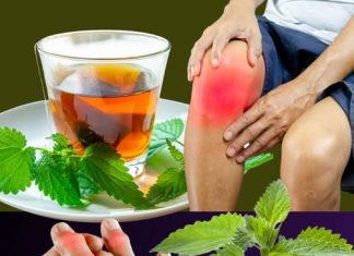 Čaj od koprive: organski lijek za kontrolu razine mokraćne kiseline