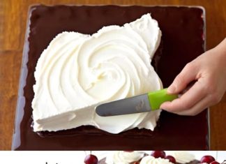 KLASIČNA BLACK FOREST TORTA PRETOČENA U KOLAČIĆ… s vlažnim HLADNIM biskvitom, zrelim višnjama i laganim šlagom.