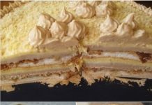 PUBLICA TORTA…IDEALNA TORTA ZA MOJE NEPCE, NESTALA U TREPTAJU OKA; OTKRIJTE RAZLOG…