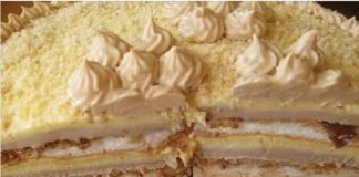 PUBLICA TORTA…IDEALNA TORTA ZA MOJE NEPCE, NESTALA U TREPTAJU OKA; OTKRIJTE RAZLOG…