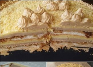 PUBLICA TORTA…IDEALNA TORTA ZA MOJE NEPCE, NESTALA U TREPTAJU OKA; OTKRIJTE RAZLOG…