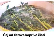 Kopriva je osebujna biljka koja u proljeće posebno plijeni pažnju svojom izvanrednom teksturom, ljekovitim svojstvima i osvježavajućim okusom.