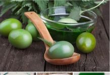 ŽIVA ZELENA USKRSNA JAJA: Otkrijte metodu za postizanje bogate nijanse bez upotrebe kemijskih boja!