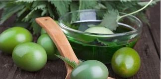 ŽIVA ZELENA USKRSNA JAJA: Otkrijte metodu za postizanje bogate nijanse bez upotrebe kemijskih boja!