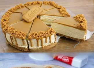 Cheesecake uz Lotus biskvit: Bogat i kremast desert koji će zasigurno okrijepiti vaše nepce.
