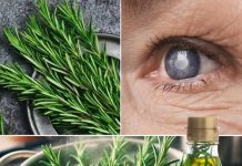 Ružmarin za zdravlje očiju: biljna otopina za liječenje katarakte i upale očiju.