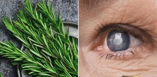 Ružmarin za zdravlje očiju: biljna otopina za liječenje katarakte i upale očiju.