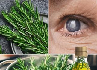 Ružmarin za zdravlje očiju: biljna otopina za liječenje katarakte i upale očiju.