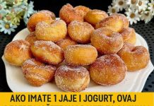 Sa samo 1 jajetom i jogurtom, ovaj desert možete pripremiti za samo 5 minuta, ne zahtijeva niti pećnicu niti dizanje tijesta.