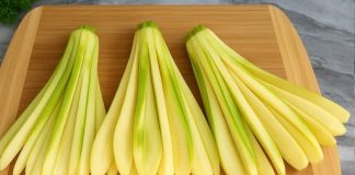 Tehnika koju mi je prenijela jedna turska obitelj otkriva da okus tikvica nadmašuje meso.