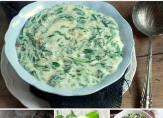 KREMIRANI ŠPINAT – Ovaj recept je nastao prema pripremi moje majke od koje sam naučio tehniku.