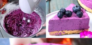 NO BAKE CHEESECAKE OD BOROVNICA: Idealan osvježavajući desert za svaku priliku! 🫐 Ovaj kolač od sira služi kao savršena opcija kada želite brz i ukusan desert! 😋✨