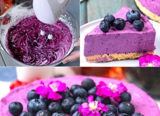 NO BAKE CHEESECAKE OD BOROVNICA: Idealan osvježavajući desert za svaku priliku! 🫐 Ovaj kolač od sira služi kao savršena opcija kada želite brz i ukusan desert! 😋✨