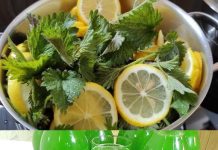 RECEPT ZA SIRUP OD KOPRIVE: SVI KOJI SU GA PROBALI MOŽE SE DA ZAPIŠE RECEPT, JER JE ZAISTA IZNIMAN!