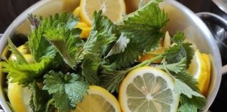 RECEPT ZA SIRUP OD KOPRIVE: SVI KOJI SU GA PROBALI MOŽE SE DA ZAPIŠE RECEPT, JER JE ZAISTA IZNIMAN!