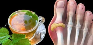 Čaj od koprive: organski lijek za smanjenje viška mokraćne kiseline – otkrijte način pripreme!