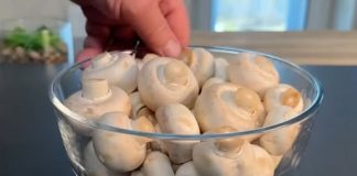 Pečurke kuhane na pari s češnjakom i maslacem, ukrašene svježim peršinom, predstavljaju aromatičan i sladak prilog koji nudi ugodan doživljaj koji se topi u ustima.