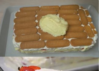 LAGANA TORTA OD JAGODA SA PLAZMA KOLAČIĆIMA… Nije potrebno kuhanje i pečenje…