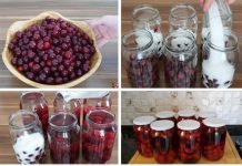 Tehnika koju mi je prenijela mama podrazumijeva pripremu KOMPOT OD VIŠNJE ILI VIŠNJE BEZ KUHANJA I CIJEĐENJA.