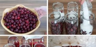 Tehnika koju mi je prenijela mama podrazumijeva pripremu KOMPOT OD VIŠNJE ILI VIŠNJE BEZ KUHANJA I CIJEĐENJA.