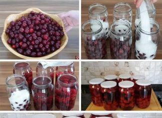 Tehnika koju mi je prenijela mama podrazumijeva pripremu KOMPOT OD VIŠNJE ILI VIŠNJE BEZ KUHANJA I CIJEĐENJA.