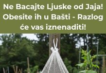 Nemojte bacati ljuske jaja! Umjesto toga, razmislite o tome da ih objesite u svom vrtu; obrazloženje bi vas moglo začuditi!