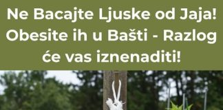 Nemojte bacati ljuske jaja! Umjesto toga, razmislite o tome da ih objesite u svom vrtu; obrazloženje bi vas moglo začuditi!