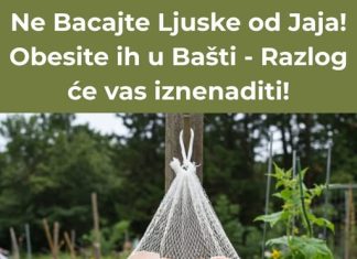 Nemojte bacati ljuske jaja! Umjesto toga, razmislite o tome da ih objesite u svom vrtu; obrazloženje bi vas moglo začuditi!