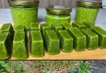 Tušt: Zanemarena superhrana koja nudi iznimne zdravstvene prednosti