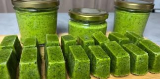 Tušt: Zanemarena superhrana koja nudi iznimne zdravstvene prednosti