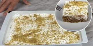 TITU SE TOLIKO SVIJELA DA JU JE ODLUČIO NAZVATI PO SVOM POMOĆU: Ova torta je među najkremastijim dostupnim, a divnog je okusa takav da joj se ne može odoljeti.