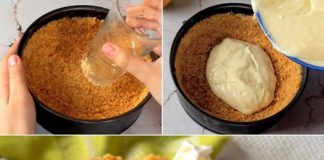 REVITALIZUJUĆI CHEESECAKE OD LIMUN! 🍋🍰 Gotova za samo 25 minuta, ova divna poslastica je i jednostavna i potpuno neodoljiva!