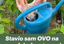 Napitak koji su mnogi konzumirali pridonio je propadanju njezine jetre; liječnici su isprva vjerovali da je kronična alkoholičarka, ali ona nije ni probala alkohol.