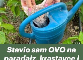 Napitak koji su mnogi konzumirali pridonio je propadanju njezine jetre; liječnici su isprva vjerovali da je kronična alkoholičarka, ali ona nije ni probala alkohol.