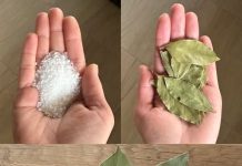 Lovorov list i sol: Utjecajna kombinacija koja nudi izuzetne prednosti