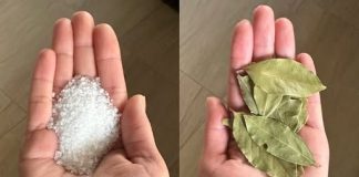 Lovorov list i sol: Utjecajna kombinacija koja nudi izuzetne prednosti