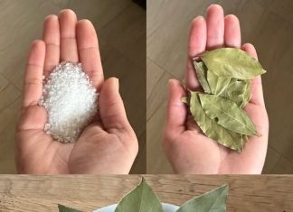 Lovorov list i sol: Utjecajna kombinacija koja nudi izuzetne prednosti