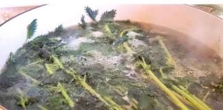 Čaj od lišća koprive služi za detoksikaciju jetre, pomaže pri mršavljenju, a za kožu ima vrhunske blagodati u odnosu na kozmetičke proizvode.