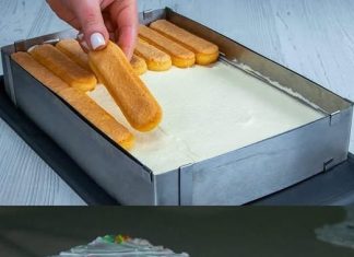 SLADOLED OD VIŠNJE… Pravi izvor osvježenja u ovim sparnim ljetnim danima….