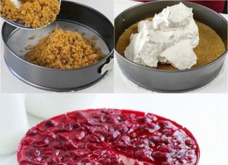 CHEESECAKE S VIŠNJAMA… Moja omiljena varijanta…