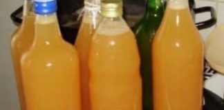 DOMAĆI SAKE OD MRKVE I NARANČE, BEZ ADITIVA.