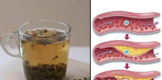 Borite se protiv tegoba poput slabe cirkulacije, masne jetre, visokog krvnog tlaka i tjeskobe uz pomoć ove biljke