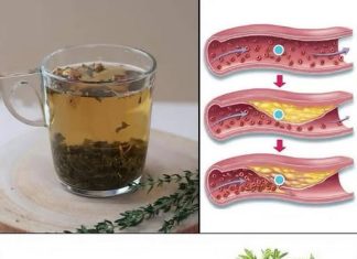 Borite se protiv tegoba poput slabe cirkulacije, masne jetre, visokog krvnog tlaka i tjeskobe uz pomoć ove biljke