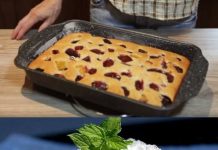 KOLAČ OD ŠLJIVA MOJ OMILJENI KOLAČ