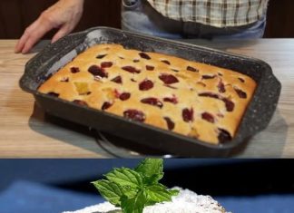 KOLAČ OD ŠLJIVA MOJ OMILJENI KOLAČ