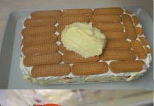 Brza torta od jagoda i plazma keks… Nije potrebno kuhanje ni pečenje…