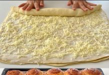 PUŽEVI PUNJENI SIROM…JELO KOJE ĆE POSTATI OMILJENO U VAŠEM DOMU